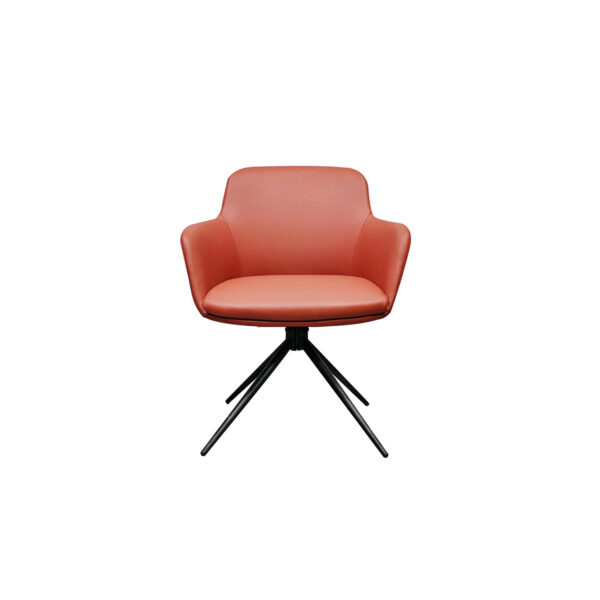 Contemporary Swivel Chair