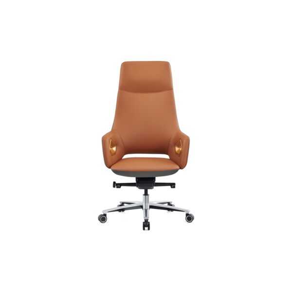 Executive Chair with Premium Comfort