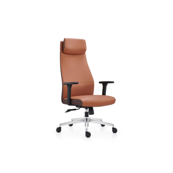 Executive Director Chair with Enhanced Back Support