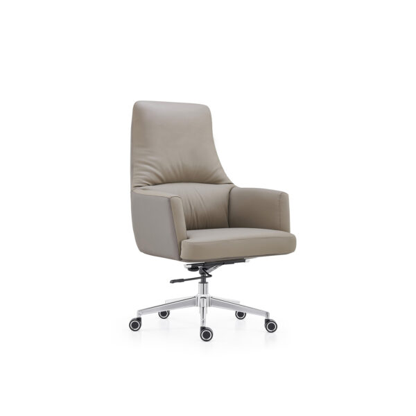 Cushioned Director Chair for Executive Comfort