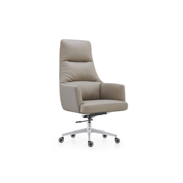 Elegant Executive Director Chair