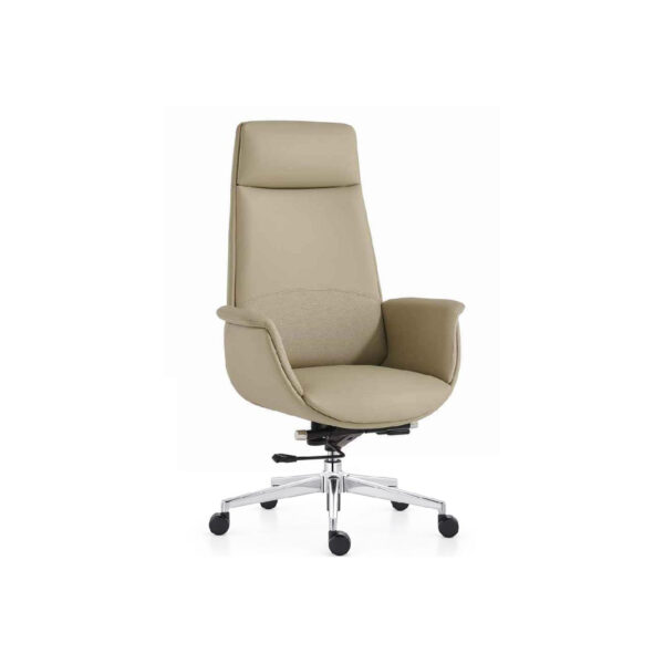 Executive Director Chair with Plush Support