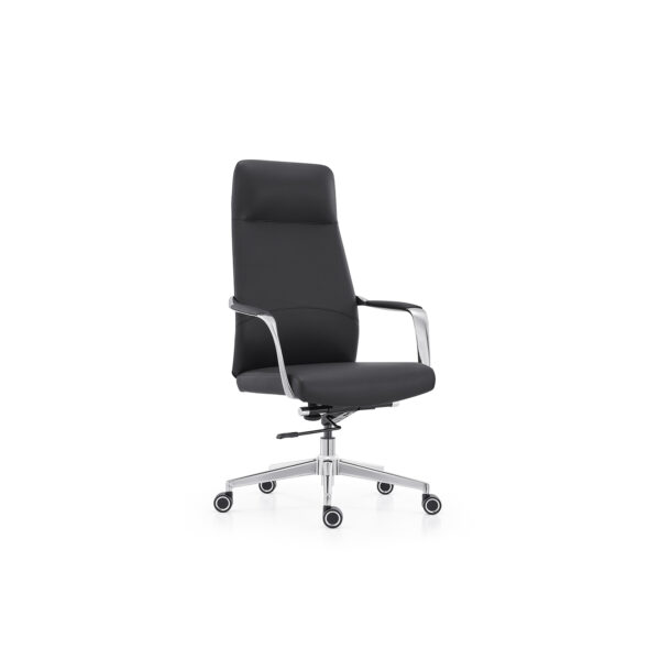 Stylish Executive Chair for Daily Use