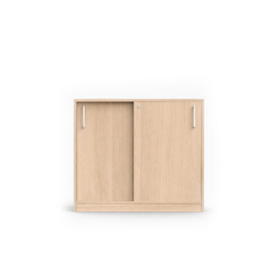 Double Door Wooden Office Storage Cabinet