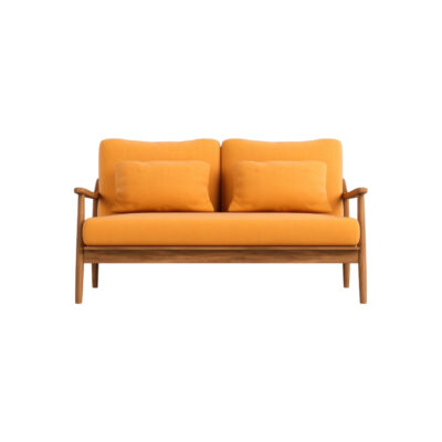 Minimal Wooden Frame Sofa | Modern Compact Living Room Sofa